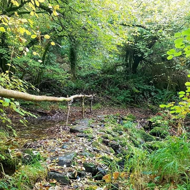 Готель Retraite Rustique En Bordure De Foret A La Campagne Belle-Isle-en-Terre Екстер'єр фото